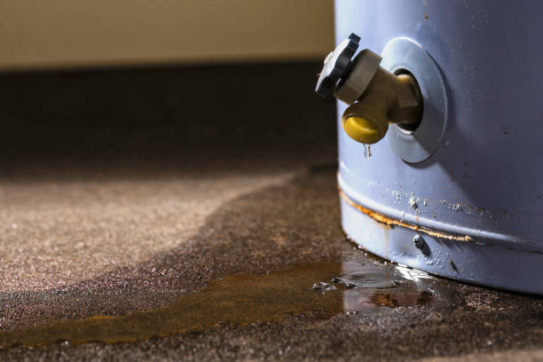 Best Water damage restoration near me  in Howard, WI