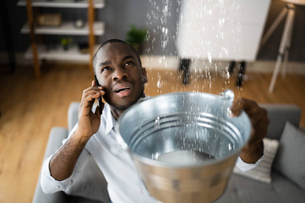 Best Mold removal after water damage  in Howard, WI