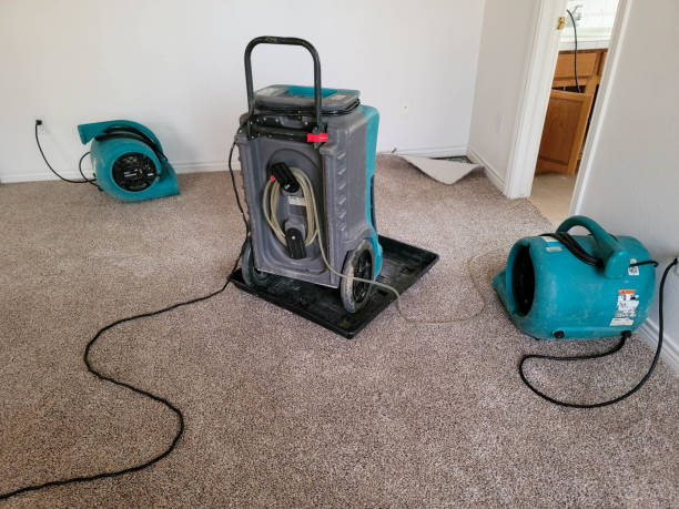 Best Water damage cleanup near me  in Howard, WI