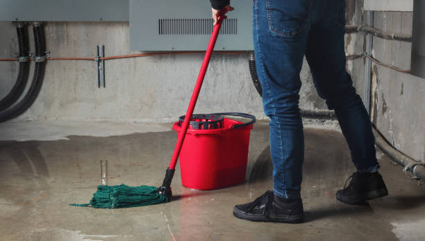 Best Professional water damage repair  in Howard, WI