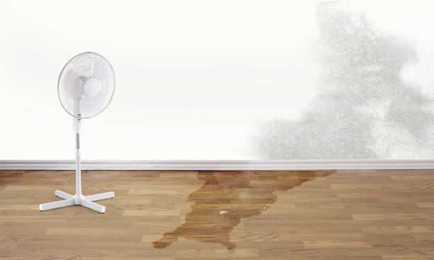 Best 24-hour water damage restoration  in Howard, WI