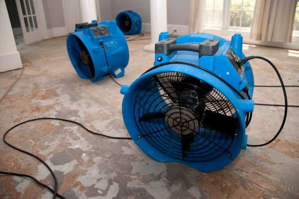 Best Residential water damage restoration  in Howard, WI
