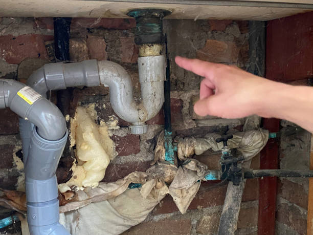 Best Water damage contractors near me  in Howard, WI