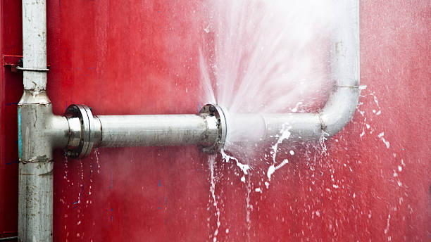 Carpet water damage restoration in Howard, WI
