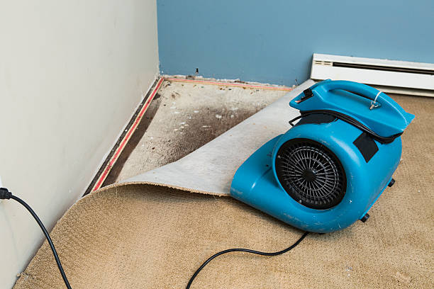 Water damage restoration mold remediation in Howard, WI